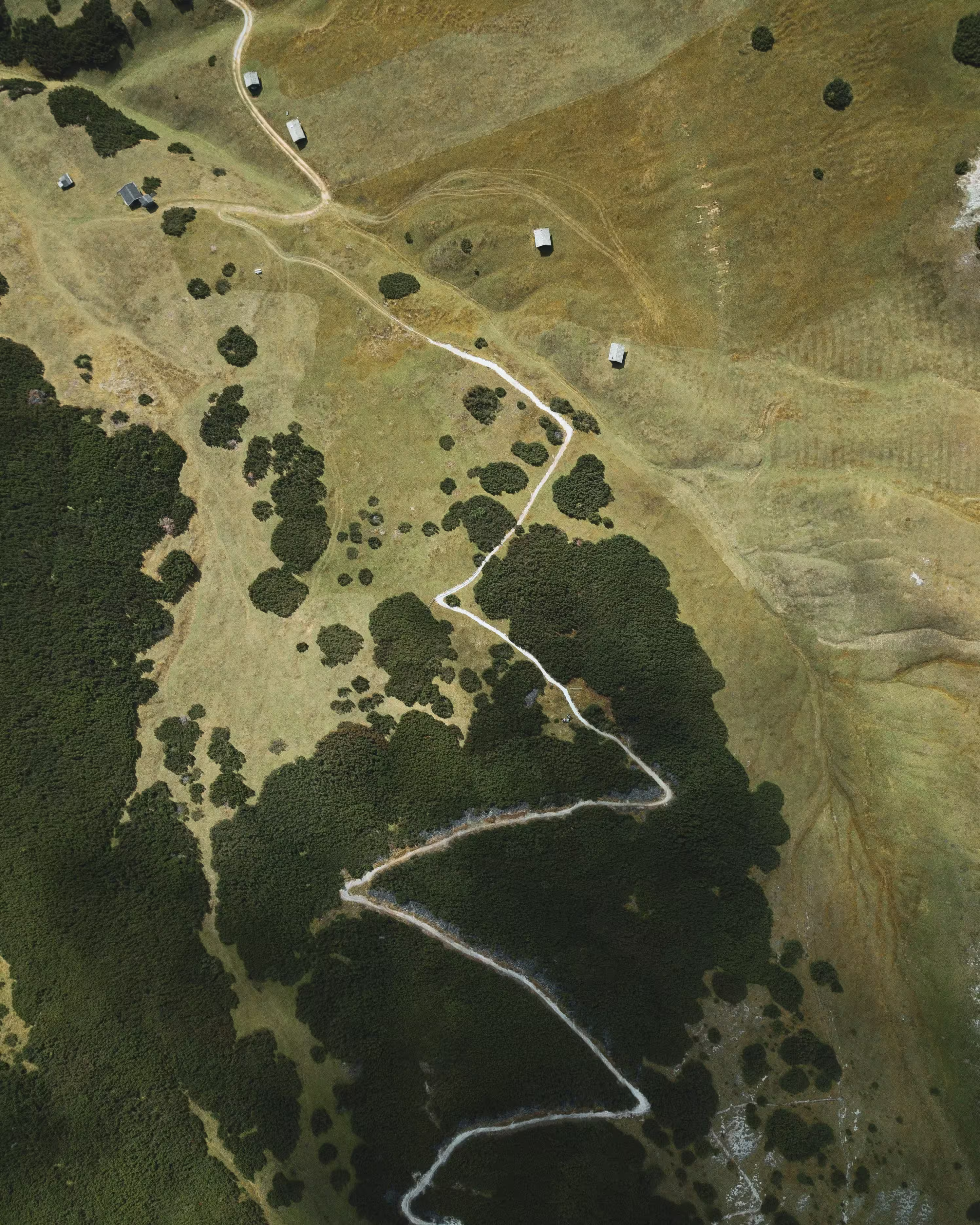 Aerial terrain texture